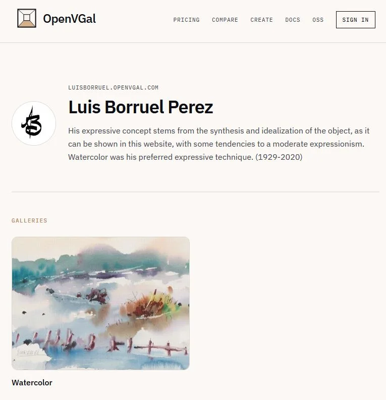 An artist page on a Studio subdomain: name, bio and every gallery behind one link.
